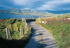 Vacation Ireland