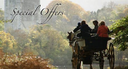 Special Offers!