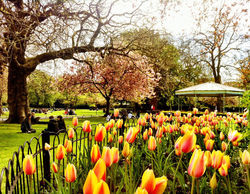 St.Stephen's Green Dublin